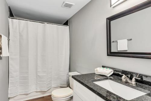 uma casa de banho com um WC, um lavatório e um espelho. em 717a - Settle into Soulard 6 Q beds 2 full baths em Soulard