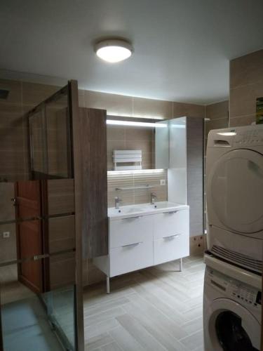 une cuisine avec un évier et une machine à laver dans l'établissement La dolce vita (150m2) : maison 4 chambres, à Anzin