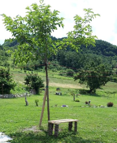 a wooden bench next to a tree in a field at B&B EcoAntico casa in paglia in Maiolo