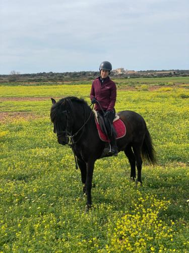 eine Person, die auf einem Feld auf einem schwarzen Pferd reitet in der Unterkunft Studio Doppelzimmer 2 Pers mit Terrasse und Pool auf Finca Mallorca in Santanyi