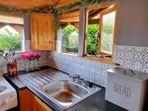 una cocina con fregadero de acero inoxidable y ventanas en Forest View Cabin en Ballaghaderreen