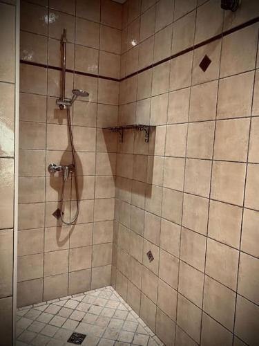 une douche dans une salle de bain avec un mur carrelé dans l'établissement Le Family Cottage du Brask, à La Motte-du-Caire