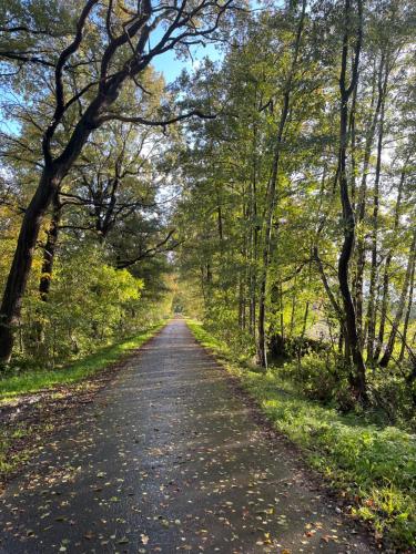 a road through a forest with trees on either side at Wunderschöne Ferienwohnung mit Balkon auf dem Bauernhof in Greven
