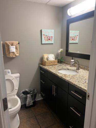 a bathroom with a toilet and a sink and a mirror at River Place Condos #501 2BD in Pigeon Forge