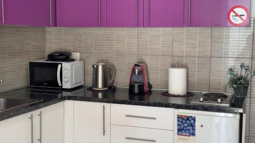 a kitchen counter with a microwave and a sink at Villa Zigana in Mostar