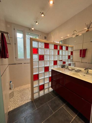 迪耶普的住宿－Rez-de-chaussée de plain-pied avec parking privé au centre ville，浴室的墙壁上铺有红色和白色的瓷砖。