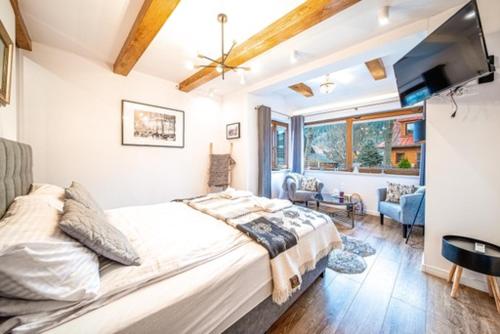 Televízia a/alebo spoločenská miestnosť v ubytovaní Apartament Kamieniec