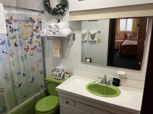 a bathroom with a green toilet and a sink at Riversong in Sevierville