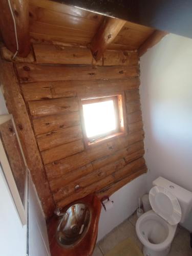 a small bathroom with a toilet and a window at Complejo La Soplada Hostel&Cabañas in Aluminé