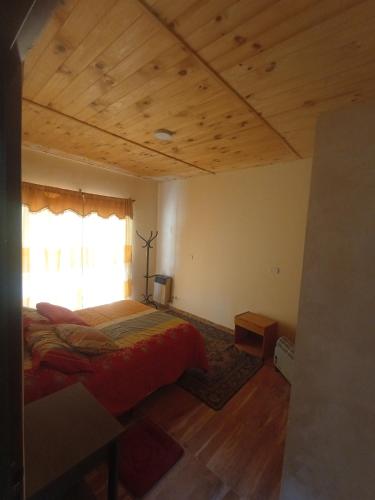 a bedroom with a bed and a window at Complejo La Soplada Hostel&Cabañas in Aluminé