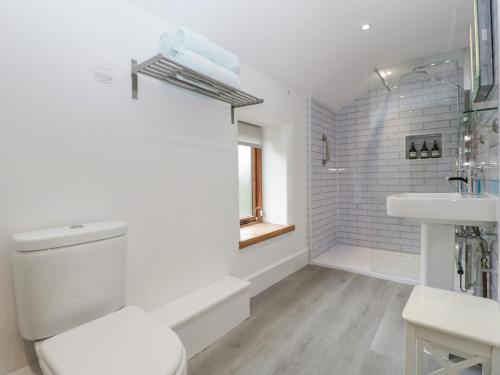 een witte badkamer met een toilet en een wastafel bij Bluebell Cottage in Leominster