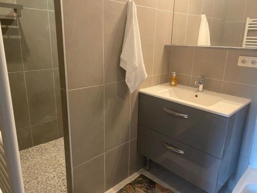 a bathroom with a sink and a shower at Les baux in Les Baux-de-Provence