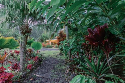 Gallery image of Mala o Kilauea Nature Retreat in Pahoa