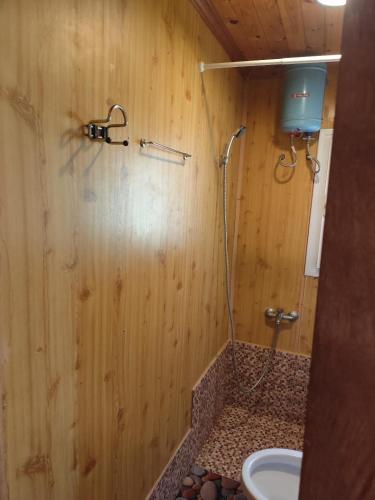 a bathroom with a shower in a wooden wall at σπίτι - αγρόκτημα - Δ Γεωργά Χατζηράση οδός Χατζηράση in Porto Heli