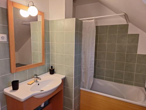 a bathroom with a sink and a shower at Cottage avec terrasse privative à 15 km d'Orléans in Ardon