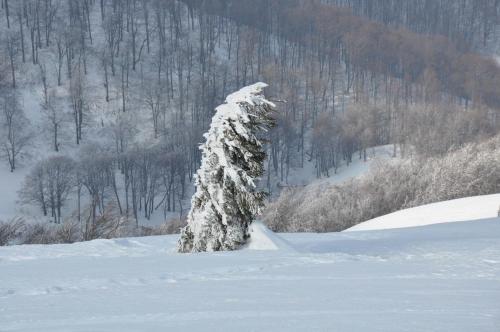 Goryanyn im Winter