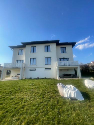 une grande maison blanche avec deux sculptures dans l'herbe dans l'établissement Duke’s House, à Bistriţa