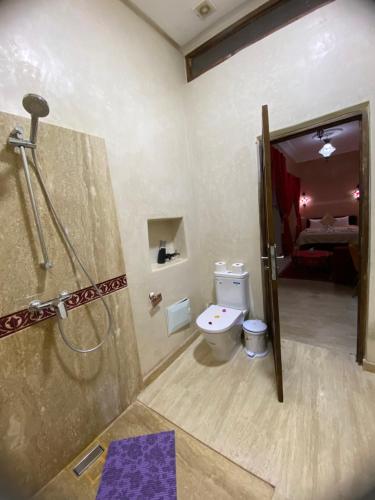 a bathroom with a shower and a toilet at Riad La Bigarade in Marrakesh