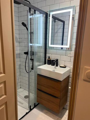 une salle de bain avec un lavabo et une douche dans l'établissement Souplex bordeaux gare saint jean, à Bordeaux