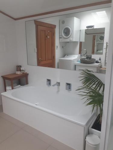 a kitchen with a white counter and a mirror at Tarawhata Thermal Apartment in New Plymouth