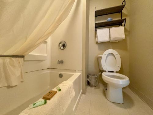 Kúpeľňa v ubytovaní Quilt Inn