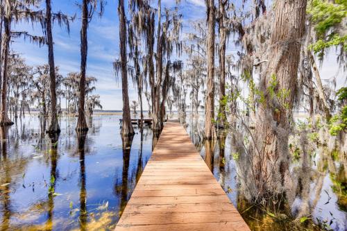 a dock in a swamp with trees in the water at Unique Melrose Home with Private Dock and Lake Access! in Keystone Heights