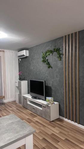 Μια τηλεόραση ή/και κέντρο ψυχαγωγίας στο Sofi Holiday