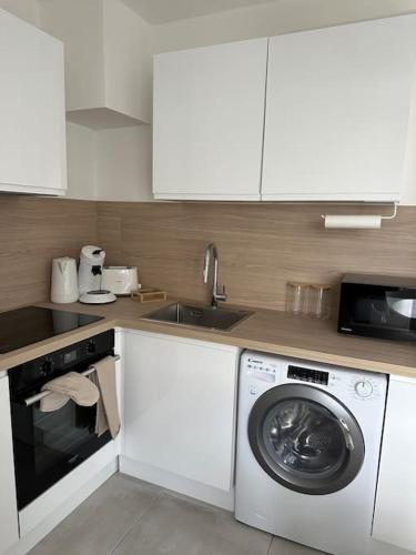 une cuisine avec une machine à laver et un évier dans l'établissement Les Lotus - Joli F2 rénové, à Saumur