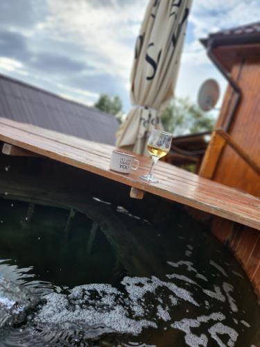 a glass of wine sitting on the edge of a boat at Cabana Dealu Capsei in Cîmpeni