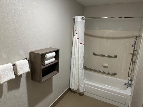 ein Bad mit Dusche und Duschvorhang in der Unterkunft Red Roof Inn Auburn Hills in Auburn Hills