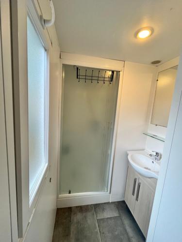 une salle de bain avec douche et lavabo dans l'établissement La cabane du lac, à Aureilhan