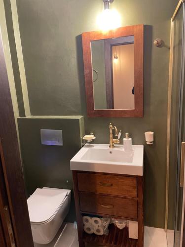 a bathroom with a sink and a toilet and a mirror at Delphi Gorge-view Chalet, Arachova in Arachova