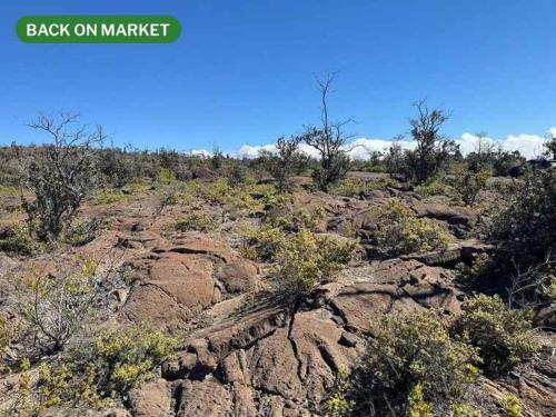 a rocky hillside with bushes and trees in a field at Bring Your Camp in Hawaiian Ocean View