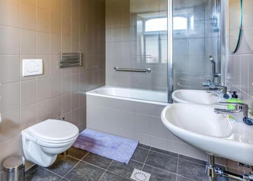 a bathroom with a toilet and a sink and a shower at 6 bedrooms mansion with sauna enclosed garden and wifi at Aywaille in Aywaille