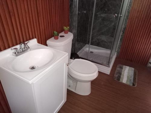 a bathroom with a toilet and a sink and a shower at Glamping Don Delfis in Valle de Bravo