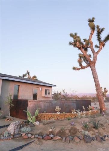 a house with a palm tree in front of it at Joshua Tree Modern Cabin- Goat Mountain Rising in Landers
