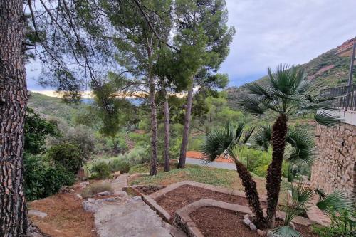 um jardim com uma palmeira e algumas árvores em casa en un parque natural em Las Villas