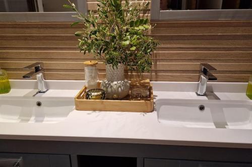 a bathroom with two sinks with a potted plant at casa y piscina en un parque natural in Benicàssim