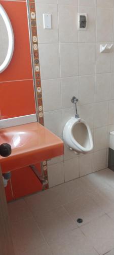 a bathroom with a urinal and a sink at HOSTAL JOYA ANDINA in Puno