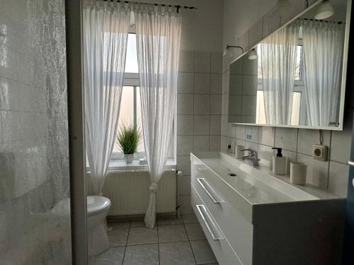 Alte Schmiede Hotel & Restaurant في جورك: حمام مع حوض ومرحاض ونافذة