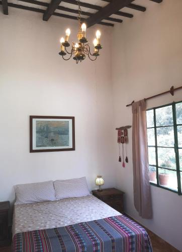 a bedroom with a bed and a chandelier at Finca San Francisco y San Javier (ex Finca los tres changos) in Salta