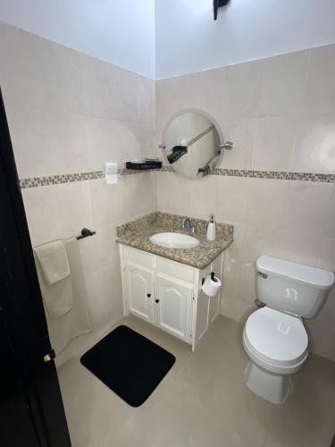 een badkamer met een toilet, een wastafel en een spiegel bij Ocho Rios Oasis in St Mary