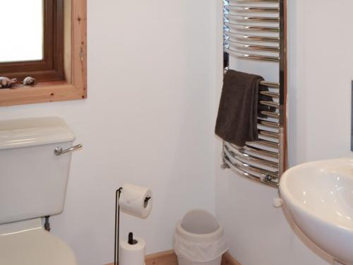 a bathroom with a toilet and a sink and a mirror at Coillessan Lodge in Inverkirkaig