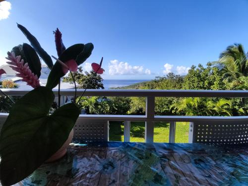 Bungalow with sea view in Deshaies