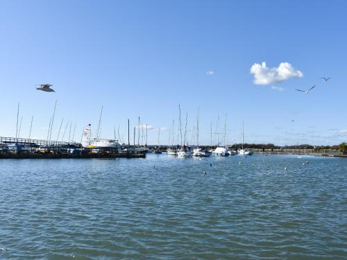 un groupe de bateaux amarrés dans un port de plaisance dans l'établissement Oakmere, à Fareham