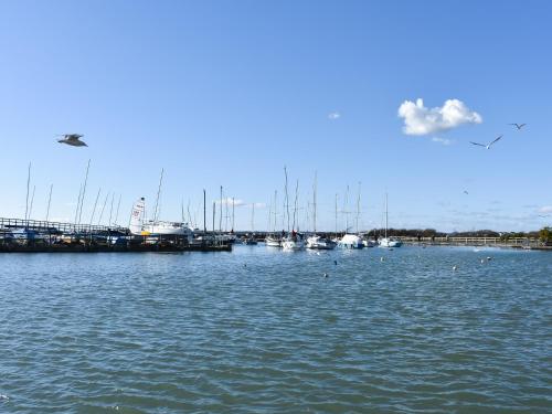 a group of boats docked in a marina at Oakmere in Fareham