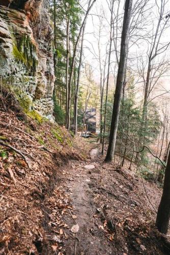 a dirt path in a wooded area with trees at Dunlap Hollow A-Frame in Rockbridge