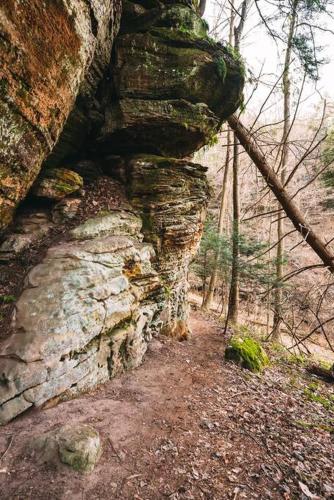 a stone wall on a trail in the woods at Dunlap Hollow A-Frame in Rockbridge