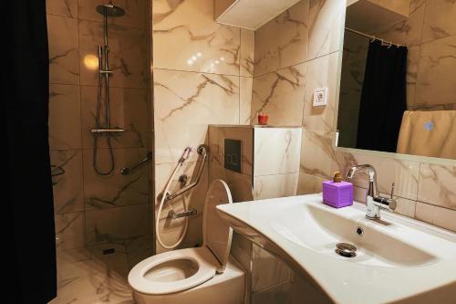 ein Bad mit einem Waschbecken, einem WC und einer Dusche in der Unterkunft La Chouette - Appartement 70m2 PMR in Château-Thierry