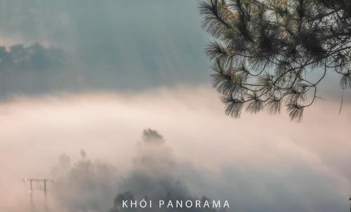 a foggy field with a tree in the foreground at Khói Panorama in Dồng Văn